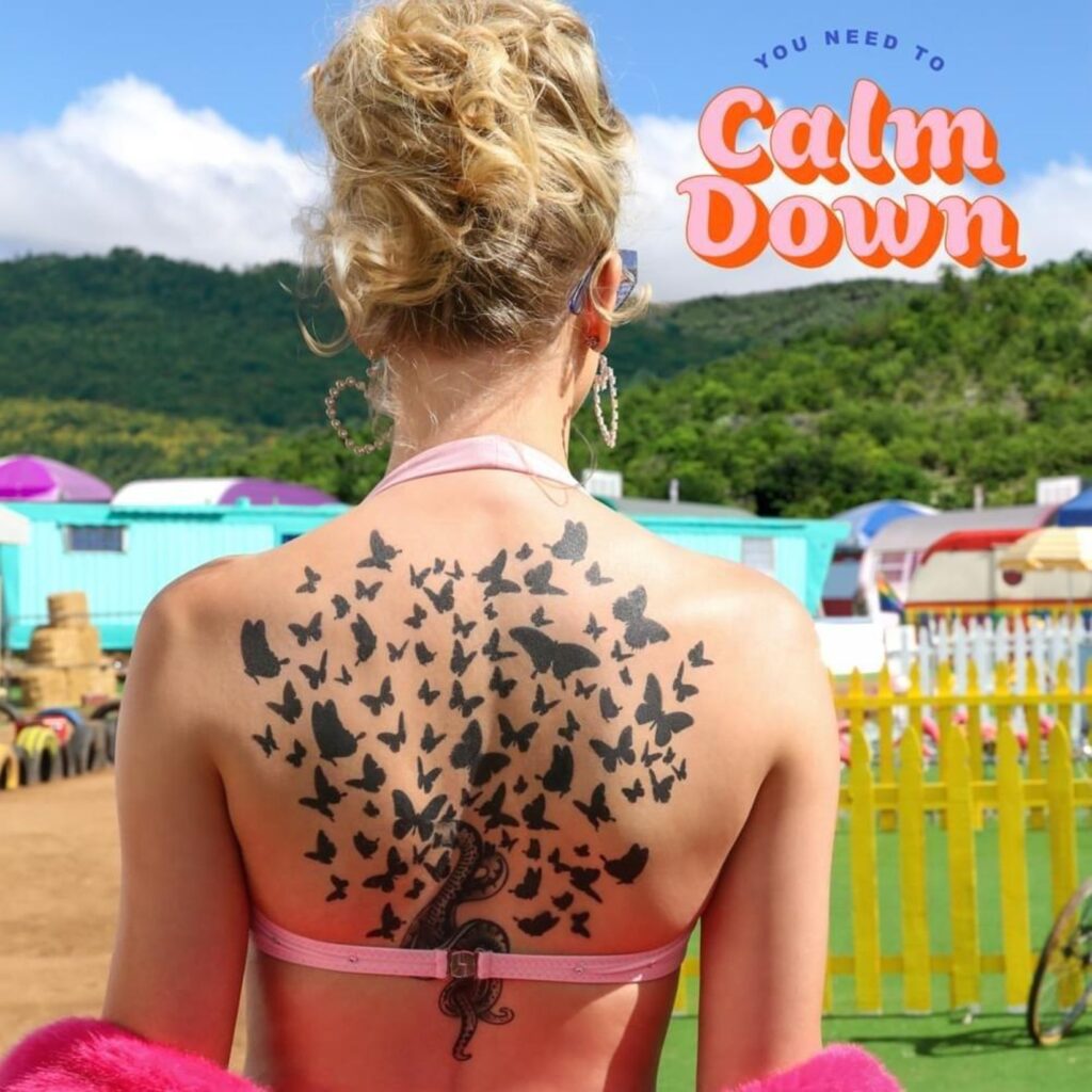 You Need To Calm Down by Taylor Swift (Lover)