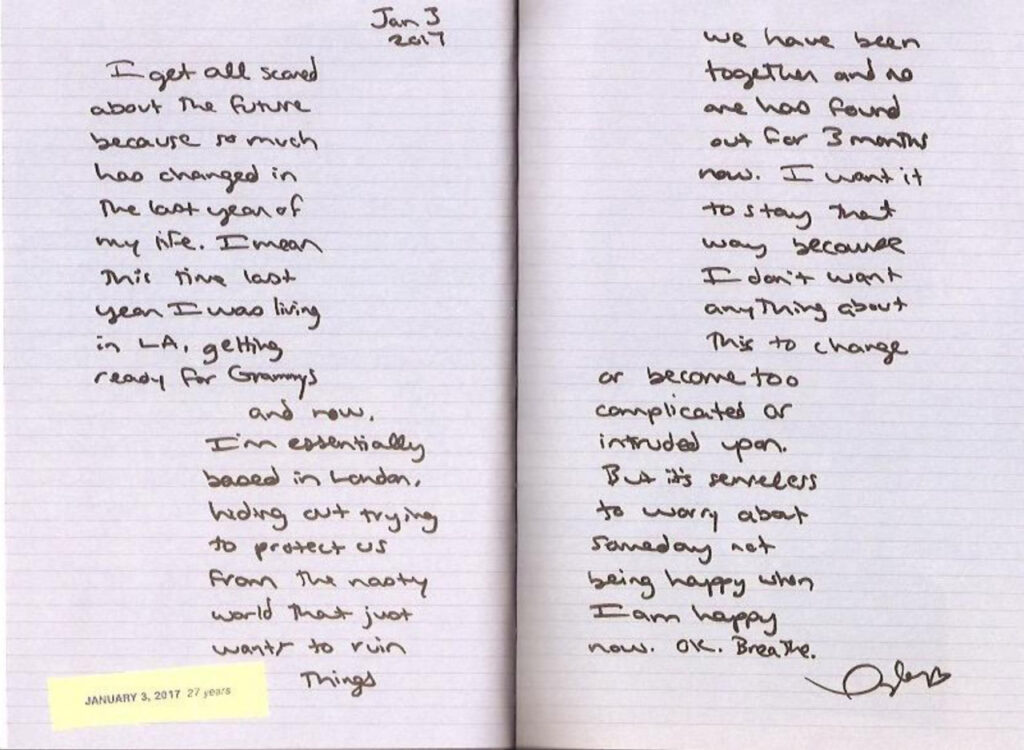 Taylor Swift: Lover Journal - Wanting to hide (January 3, 2017)