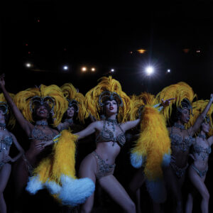 Taylor Swift for The Life of a Showgirl (Taylor Swift, 2025)