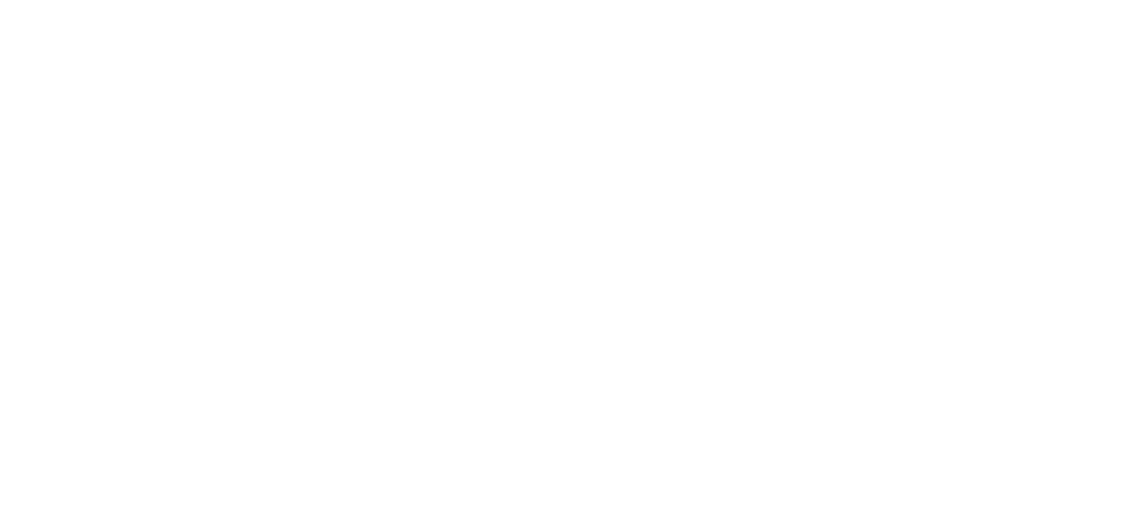 Speak Now Logo (2010)